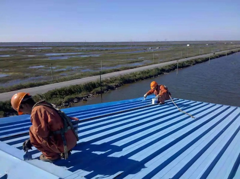 中原钢结构屋面漏水原因